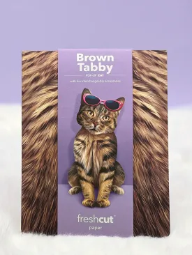 Brown Tabby Cat Pop-Up Card